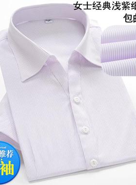 短袖衬衫女士白底浅紫色细条纹修身OL女装大码职业工装衬衣工作服