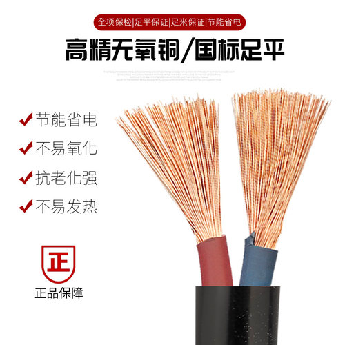 户外防冻软线电线国标纯铜2芯1.5 2.5 4 6平方电源线护套线电缆线