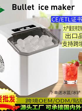 制冰机Icemaker家用制冰机跨境电商外贸出口小型制冰机
