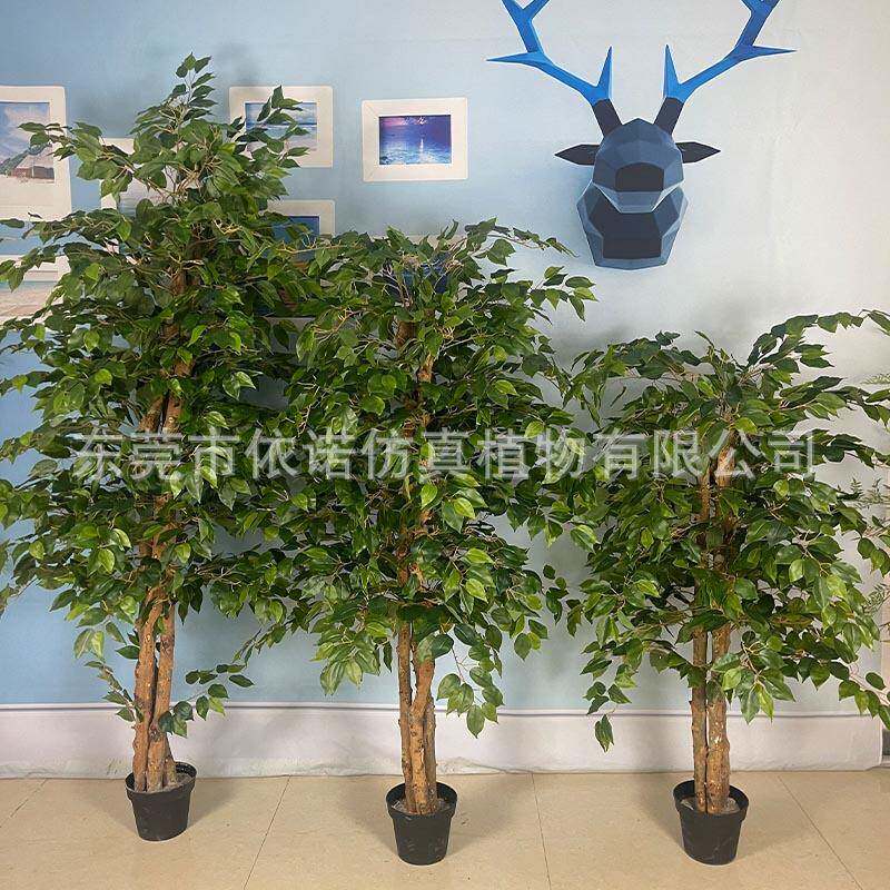 真榕树装盆仿栽仿真迷你造yn231229榕酒店橱窗饰人绿植盆栽仿真树