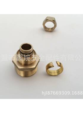 国巨S20.M接外直卡套式铜管件1铝丝塑管铜GUOJU接头