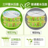 芽机家用全自动大容量豆发24032豆牙菜生绿芽罐自制小型育苗盆豆