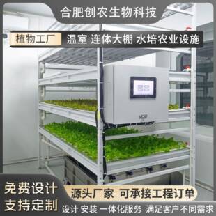 无土栽培集装箱植物工厂基地建设水培蔬菜温室大棚种植架家用种植