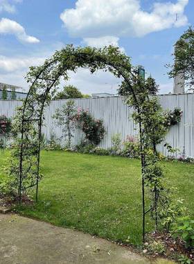 简易接花园风拱门植物爬藤架GR230B16铁车茉莉蓝雪花月季艺拼花架