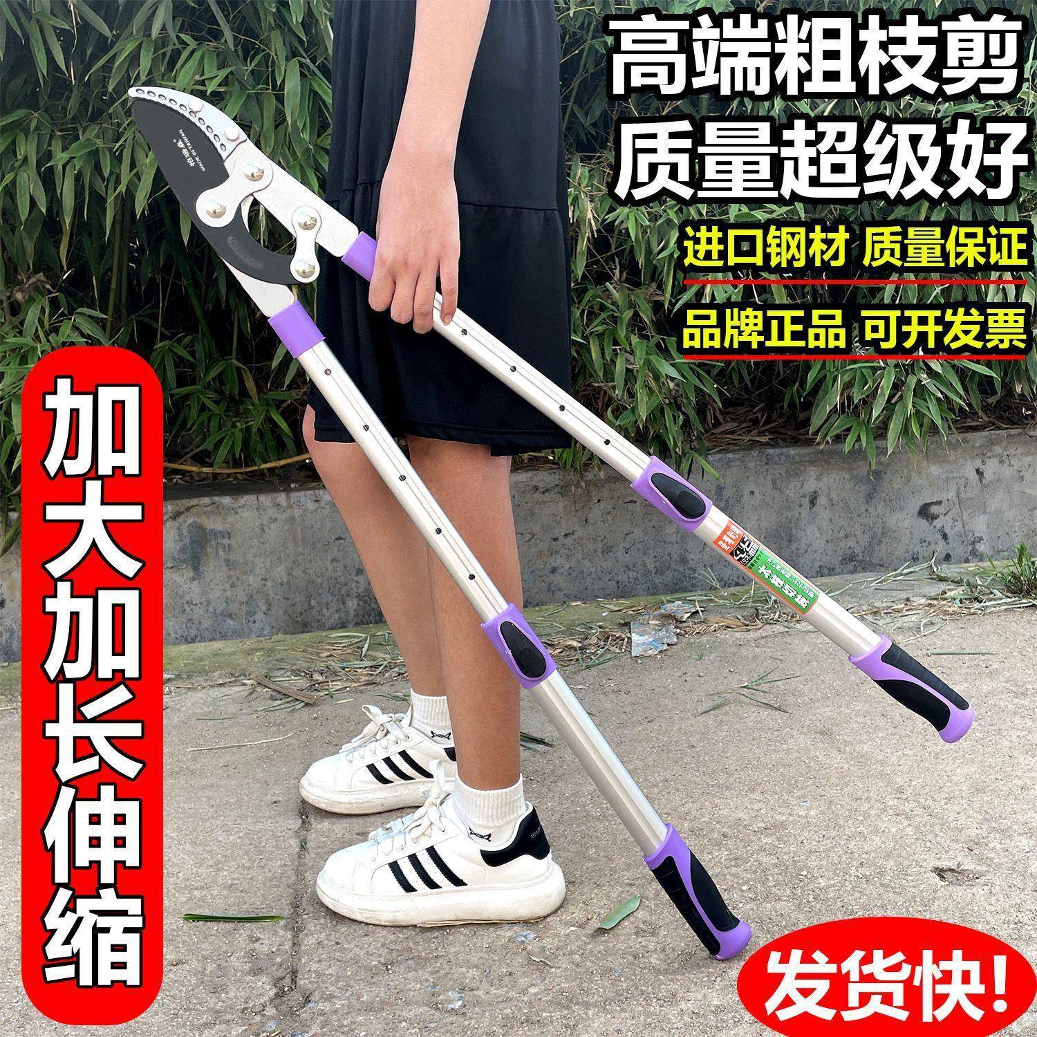 树剪专用DZR大剪子修枝剪刀粗枝果树修剪树园林葡萄茶树伸缩枝杆