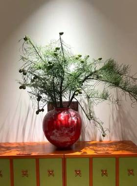 小众花水材带果池衫ESO落羽绿色桌面摆放装饰干杉养花可室内瓶插