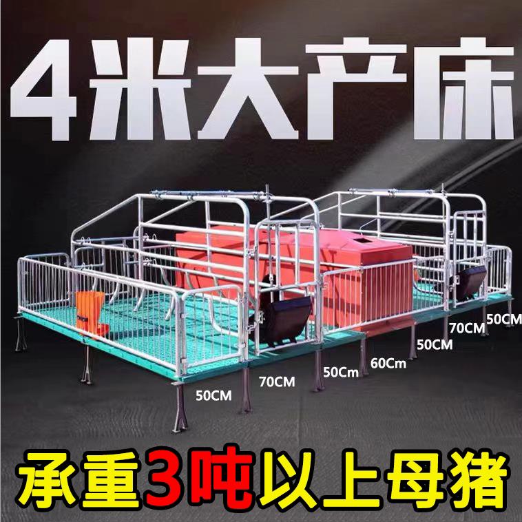 母猪产床老母猪产保一体两用产床保育床分娩床猪用产床养殖设备