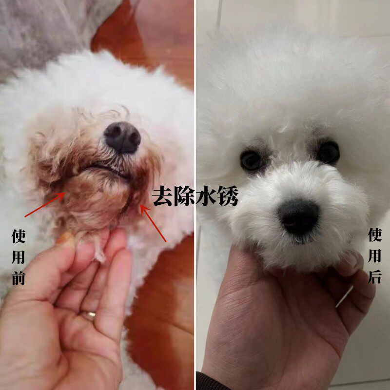 比熊泰迪博美萨摩宠物猫狗漂白粉毛白剂去泪痕尿迹染发剂白色美白