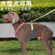 doglemi狗狗六色H型胸背套牵引带防挣脱遛狗带小中大型犬通用
