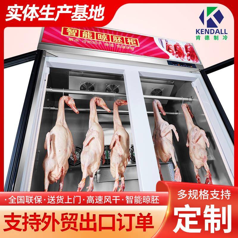 晾鸭柜商用智能晾胚柜鸽风干柜DSK卤除湿保鲜展示柜烧鹅烘干柜