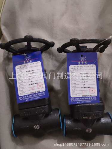 滨大阀门锻钢高压丝扣截止阀