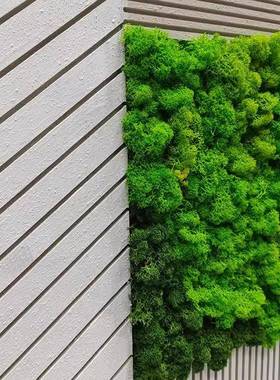 现代简约抽03象客厅户装画走廊过道挂画立体雕刻入玄关绿植藓苔饰