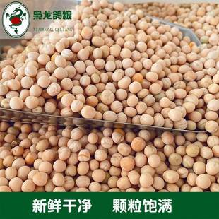 枭鸽大白豌豆5龙0斤赛鸽信鸽鸟食粮浙JAY沪江皖 包邮