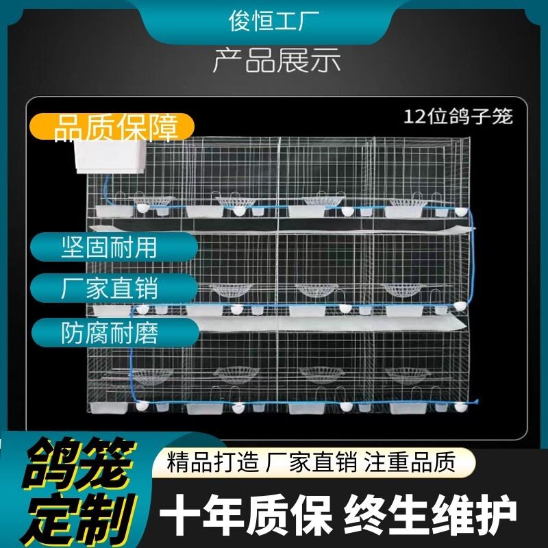鸽子信鸽养殖笼大号加粗用品用具12位位养殖配对笼肉鸽繁殖笼子
