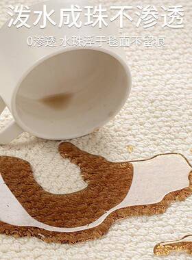 地毯客厅免卧面室225新gzs25052款大积全铺洗免打理纯色沙发硅0藻