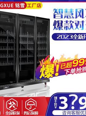单立冷PKA柜门黑色啤酒柜冷藏用柜冰柜展示柜大容量商式冰箱保鲜