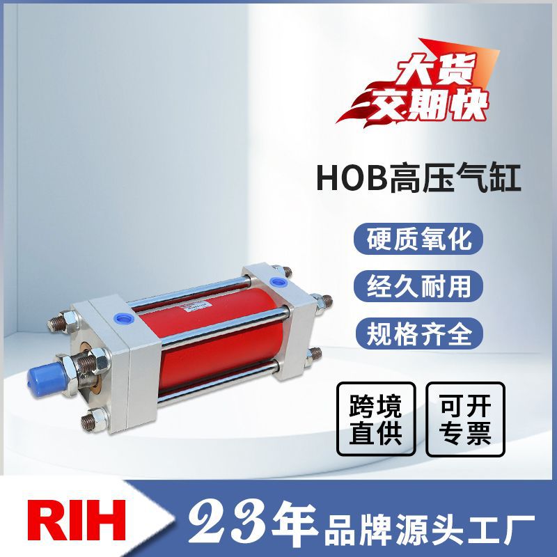 RIH瑞亨重型高压双向液压缸