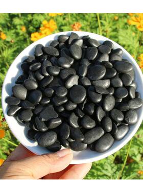 黑色灰色砾石围水池边彩348鹅卵石五彩抛光路石子2-色5公分鹅铺春