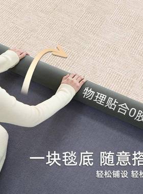 可洗地毯客厅202可5新款拆卧复古可机洗室JR202504免洗擦家用天津