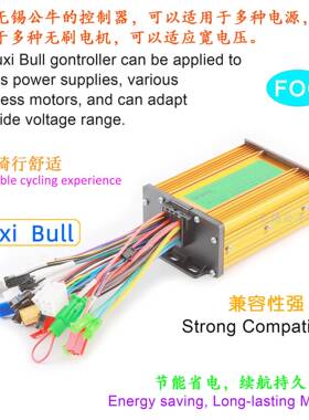 60V智能三模48V60V45W500W00W三模正弦波无刷6电机控两轮电动自行