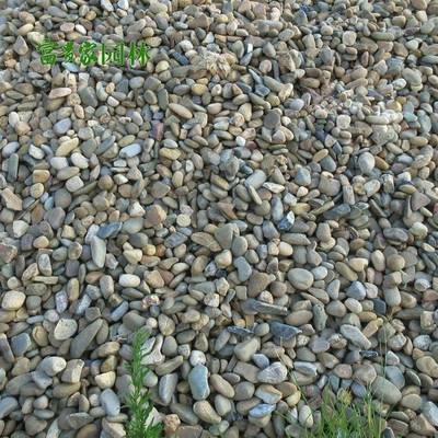 灰路碎石子铺740面杂色工鹅卵石程地色坪铺石子富贵家石材