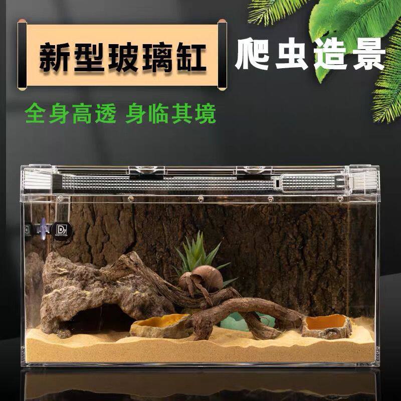 BG爬虫水晶玻璃饲养箱爬宠角蛙蜘蛛蝎子鬃狮守宫蛇甲虫造景饲养盒