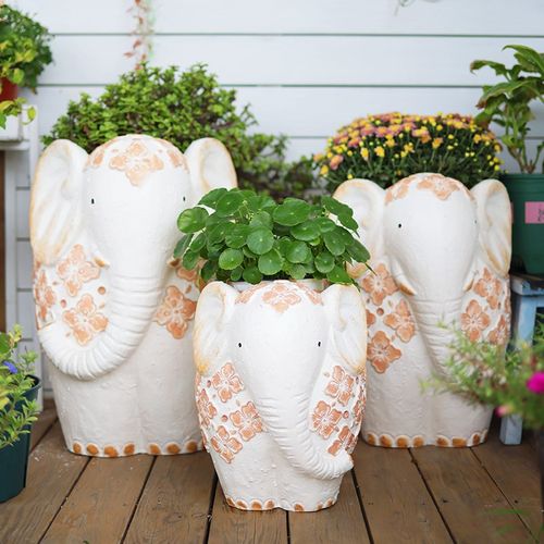 客厅大花盆大象一家造型大号绿植金钱树花园庭院装饰造景阳台布置