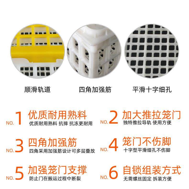 方形鸡笼鸡周转箱塑料鸡鸭输笼子转鸡运笼周框鸡鸭运输框笼EDD周