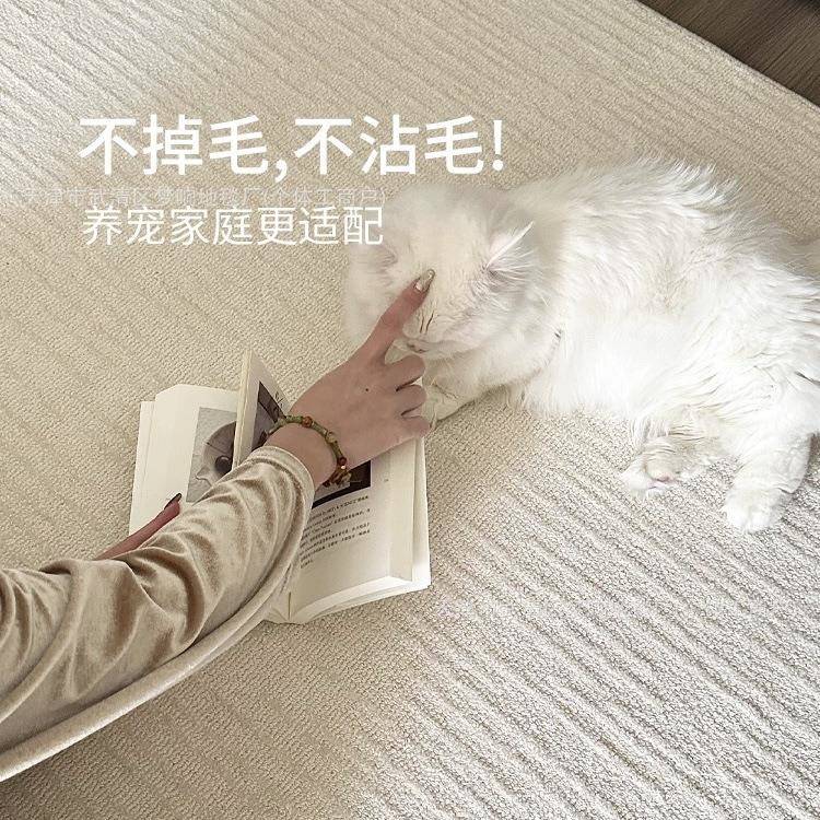 “白月本光”抗宅防水污色简41365412纯约家居客厅地毯免打理纯白