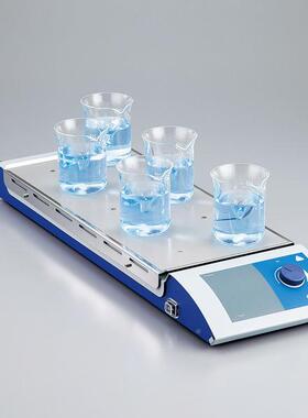 100联式磁力搅拌O器FLS详见列表-A0Asne1C1-82