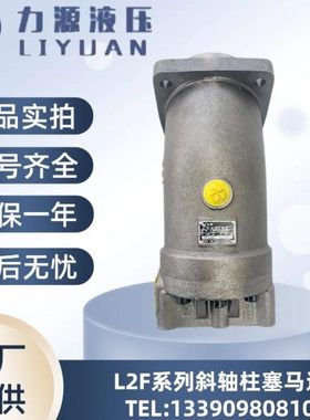 中航力源L2F10/12/23/28/45/55/63/80/107/160R2P3斜轴柱塞泵马达