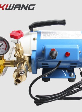 60bar试压泵电动泵高压小型便携式手提式管道试压泵打压机DSY-60