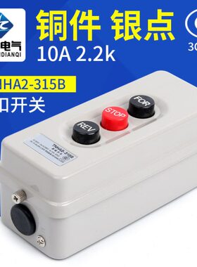 动力压扣开关BS-315扣押开关按钮 3P 500V 2.2KW 倒顺停开关
