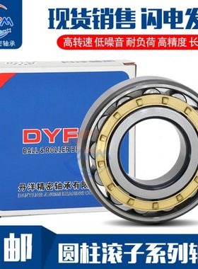 丹洋圆柱滚子轴承 N NU NJ RN NUP NF 409 410 411 412 E M C3 4K