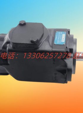 T6CCW 022 008/006/005/003 1R00/2R00 C100丹尼逊DENISON叶片泵