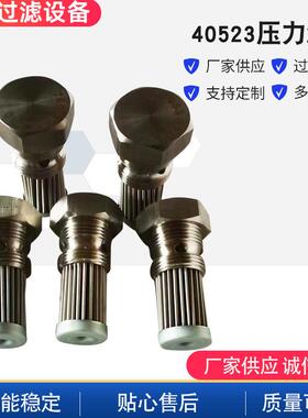 源头厂家风电 40523压力滤芯 规格齐全 质量可信滤清器净水器