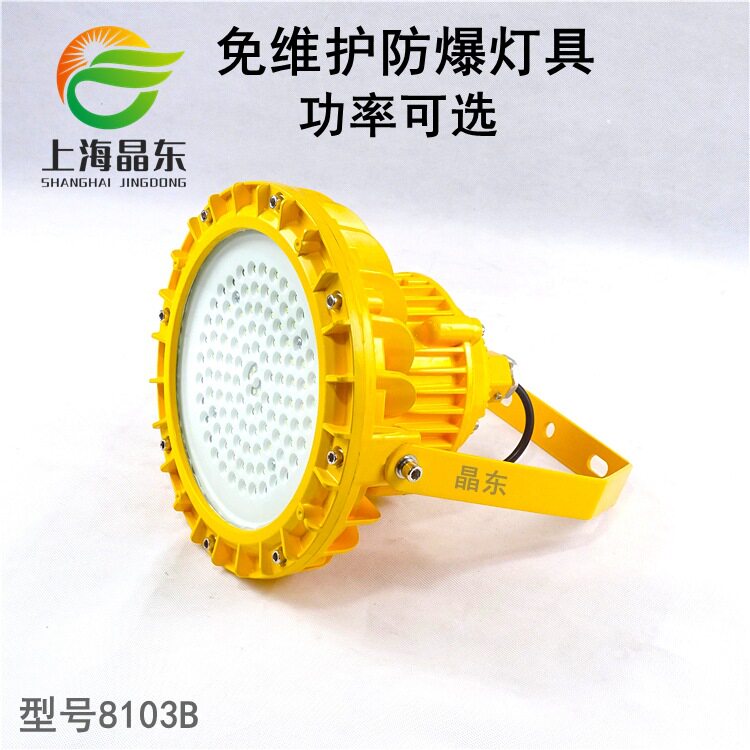 24V36V48V隔爆型防爆灯60W80W100W支架吸顶吊杆式弯杆防爆壁灯