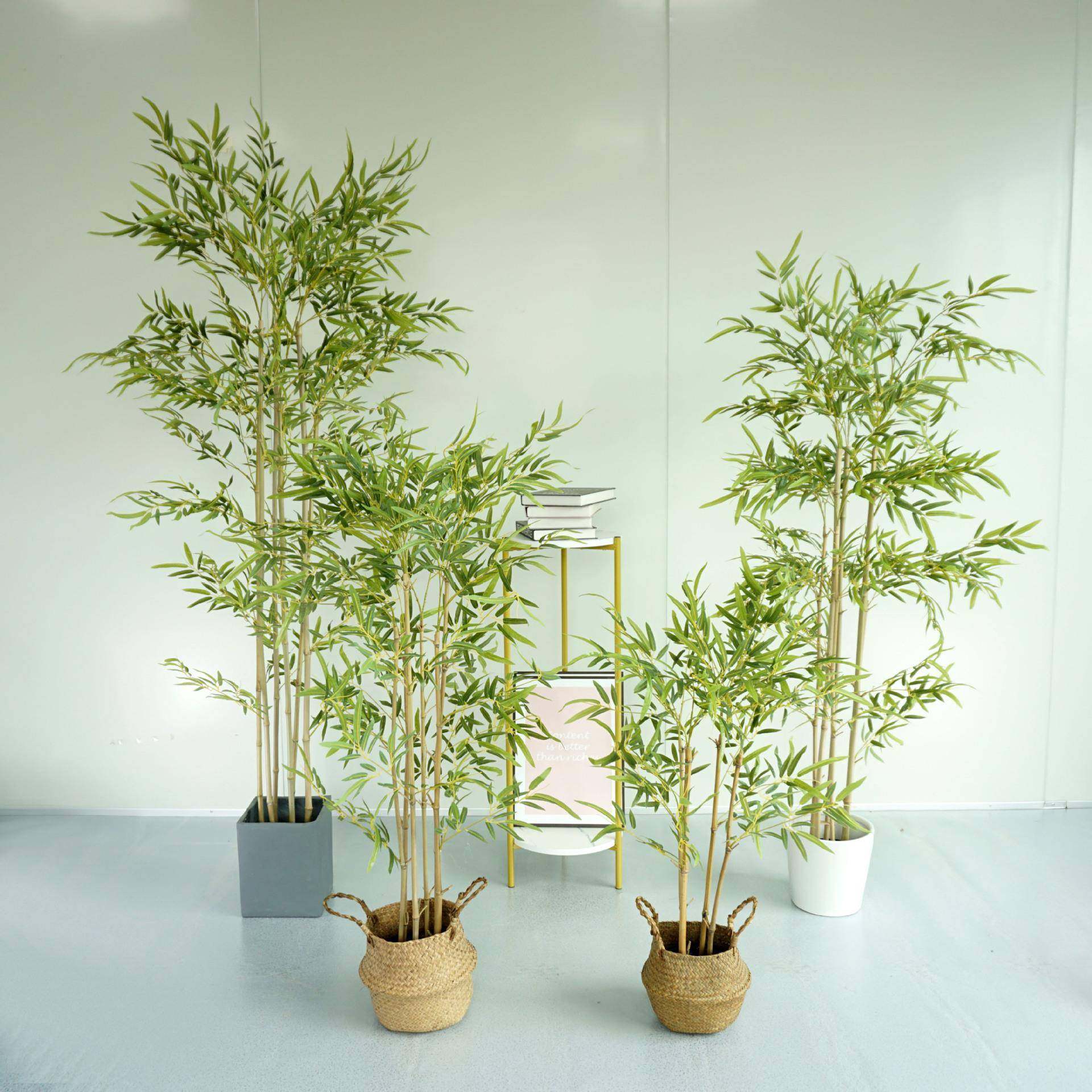 仿真竹子假竹子细水竹毛竹室内装饰绿植盆景盆栽造景植物手感竹叶