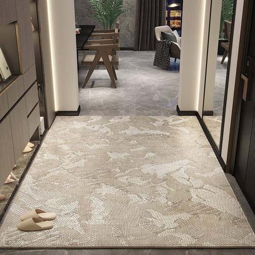 别墅入户门地垫进门口客厅感轻奢耐脏防滑玄关脚垫可裁剪