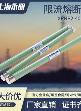 高压限流熔断器XRNP1-35-40.5KV/0.5A-3.15A-50KA高分段能力PT用