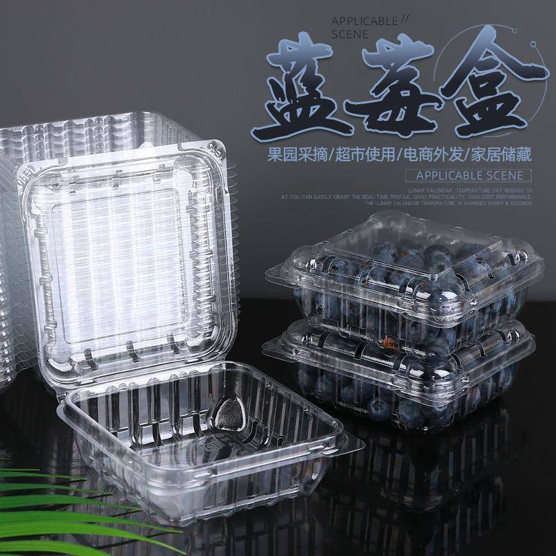 一次性塑料透明水果盒蓝莓盒125克直销有盖树莓桑葚打包盒