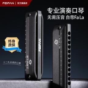 飞繁12孔全音阶口琴带FaLa布鲁斯口琴入门初学专业演奏乐器