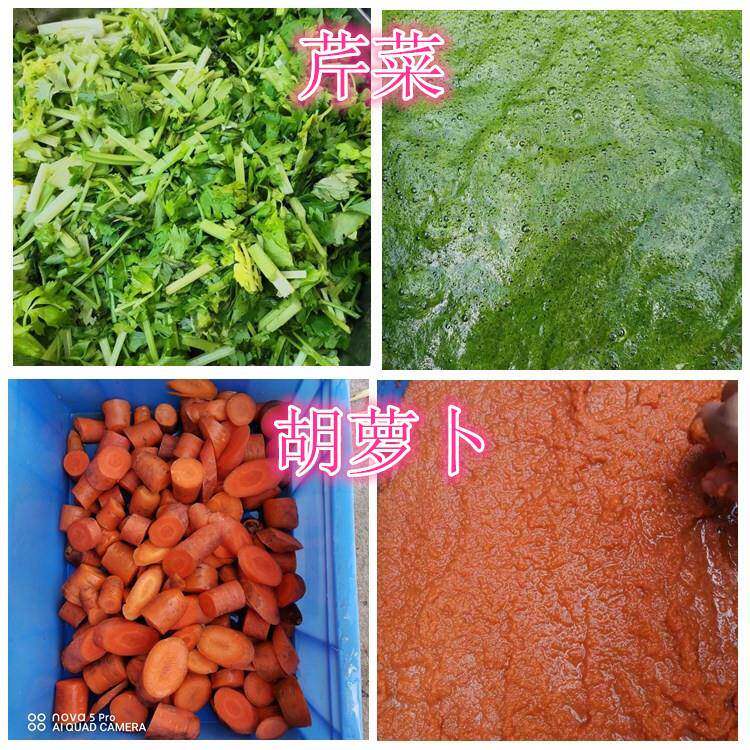 工业大型不锈钢打浆设备淮山芥菜打泥机蒸熟胡萝卜南瓜打泥机