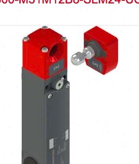 L300-M31M12B8-SLM24-SCA L300-M31M12B8-SLM24-UCA 劳易测门锁