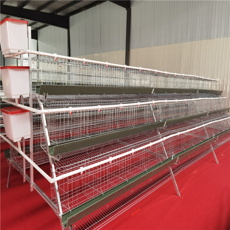 阶梯蛋鸡笼热镀锌三层四层阶梯式蛋鸡笼白石槽养殖自动化鸡舍鸡笼