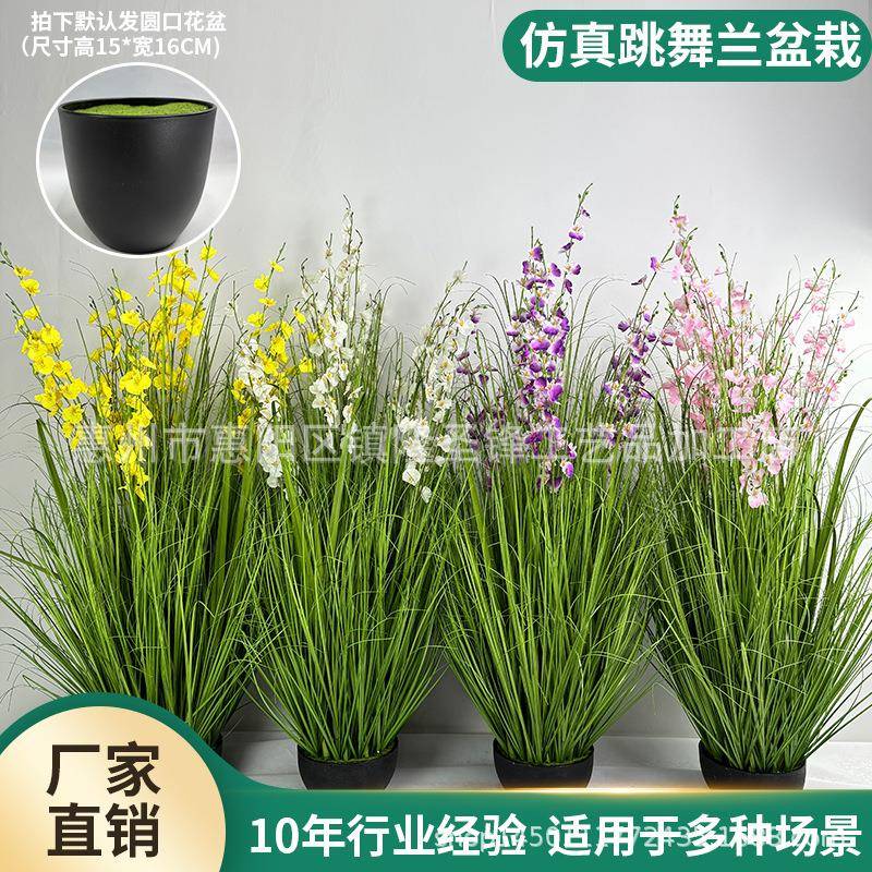 仿真跳舞兰文心兰假花盆栽婚庆场景布置芦苇草盆栽仿真蝴蝶兰