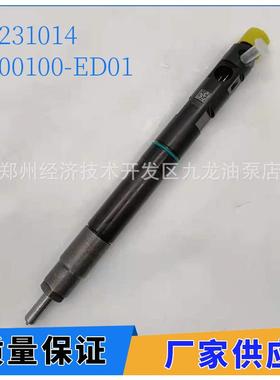 28231014喷油器1100100-ED01适用德尔福长城风骏H5H6