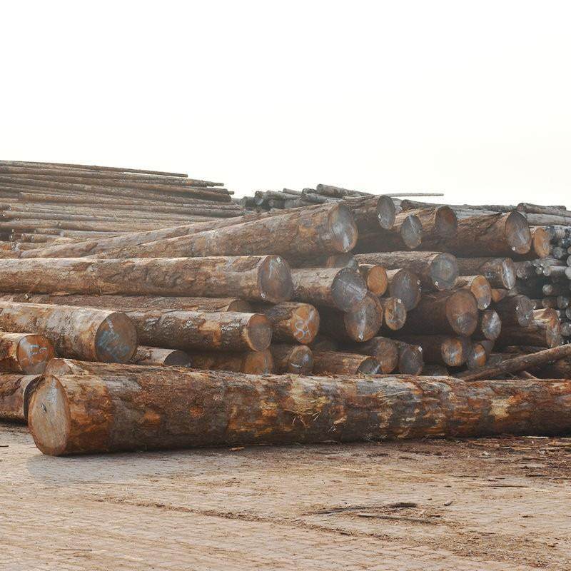 澳松原木木板道护岸防01汛松木桩工桩木澳松河防腐打实木地木方