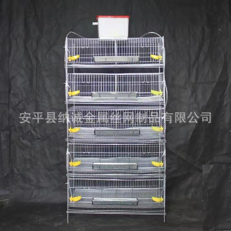 养殖加高鹌鹑鹧鸪DAW笼立式体鹧鸪动清自粪镀锌笼子自动接蛋笼
