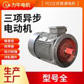 BBE三项步电动机厂家YE2 12M26 5.5KW高精度电机异全铜线电机马